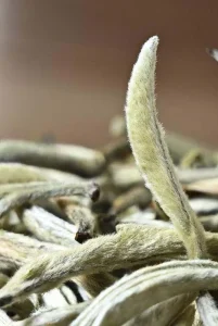 چای سفید نیوشا